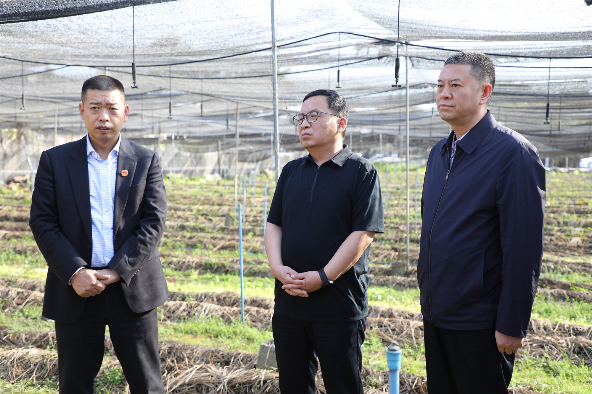 6731������Ϸ(�й���)-�ٷ���վ