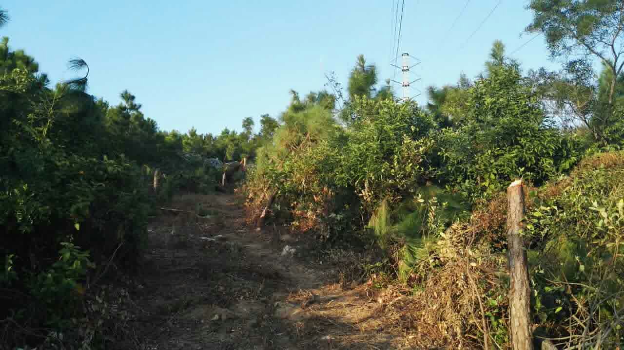 6731������Ϸ(�й���)-�ٷ���վ