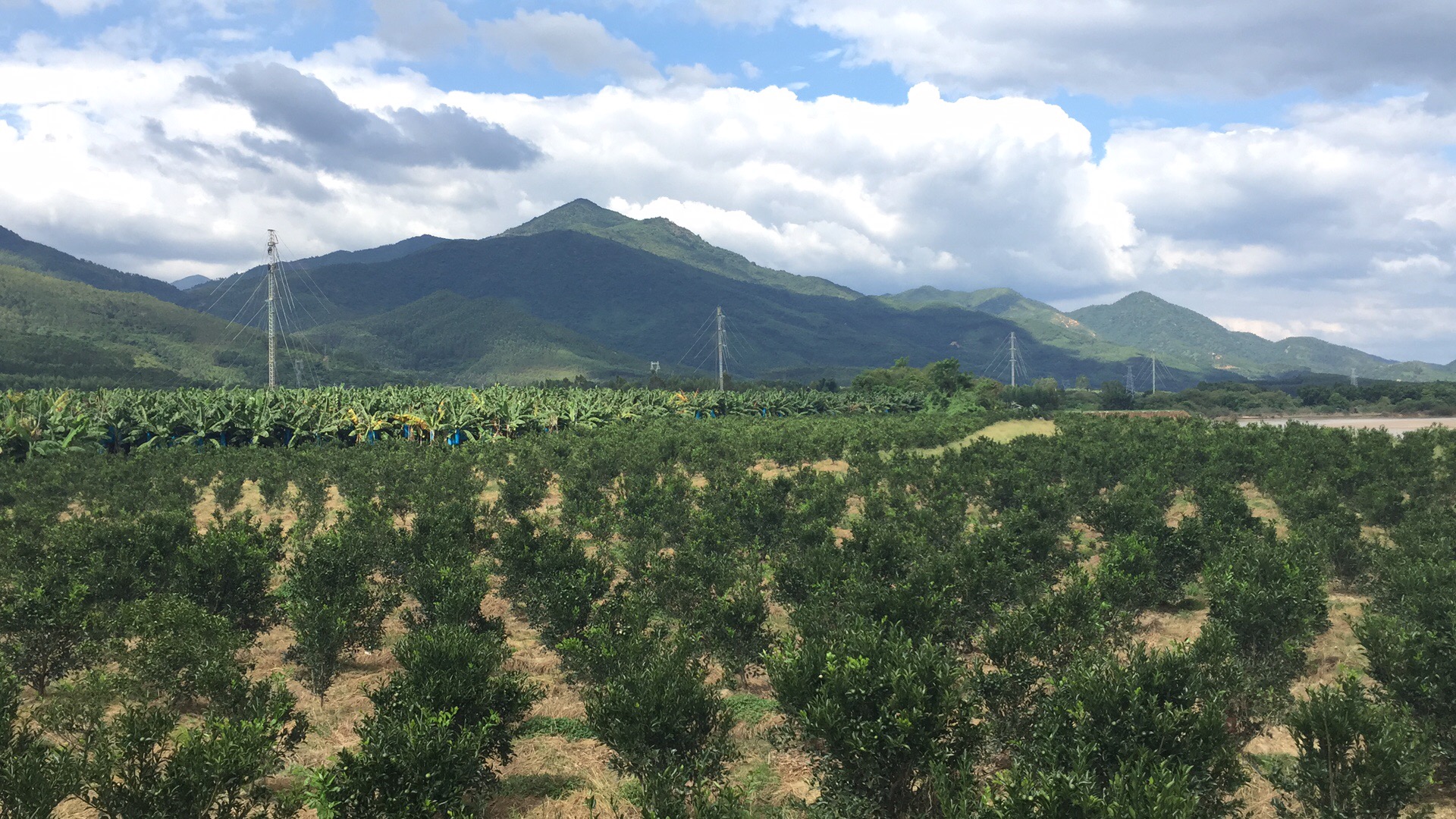 6731������Ϸ(�й���)-�ٷ���վ