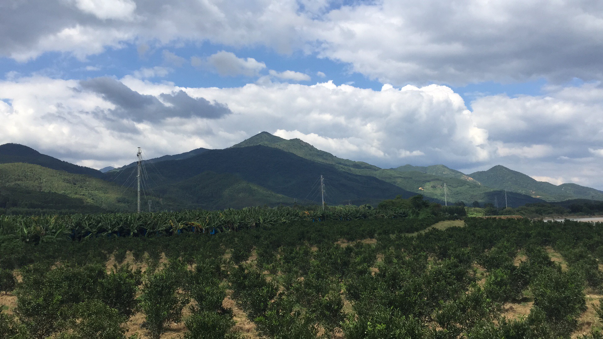 6731������Ϸ(�й���)-�ٷ���վ