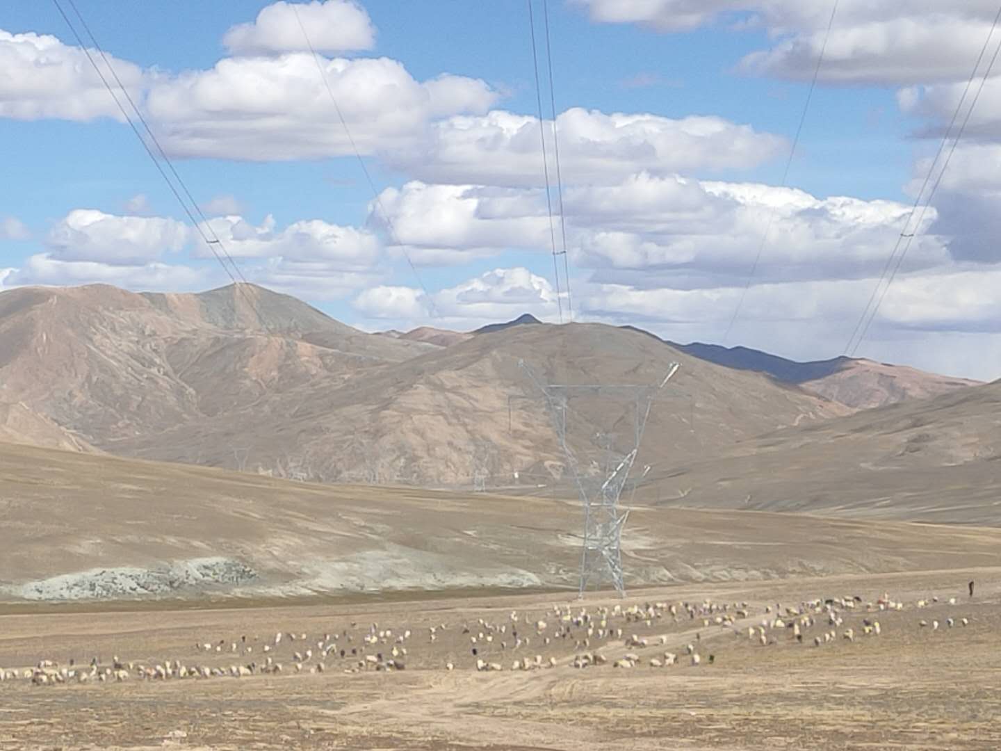 6731������Ϸ(�й���)-�ٷ���վ