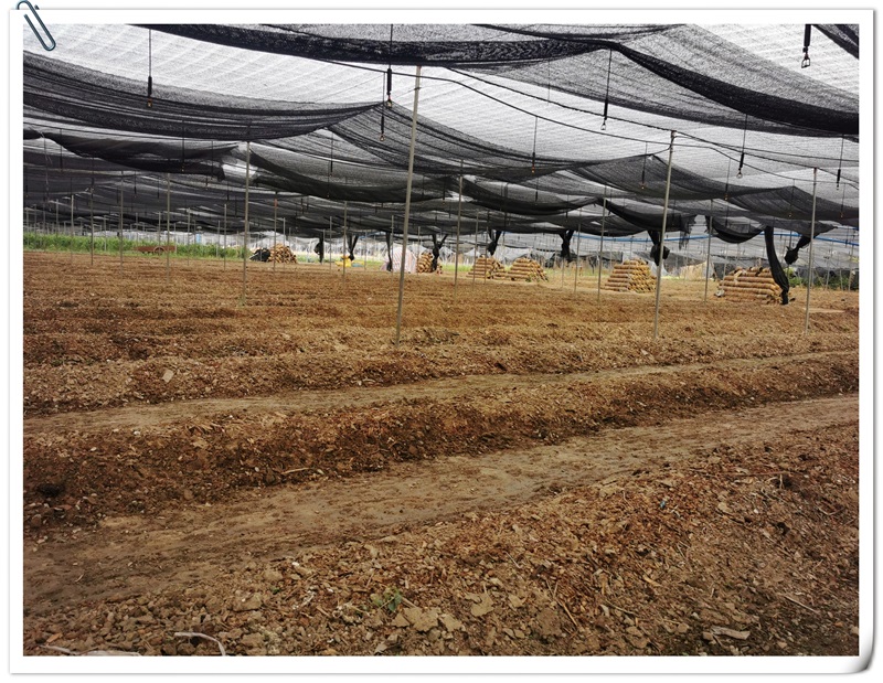 6731顶级游戏(中国区)-官方网站