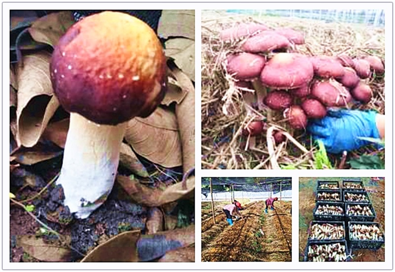 6731顶级游戏(中国区)-官方网站