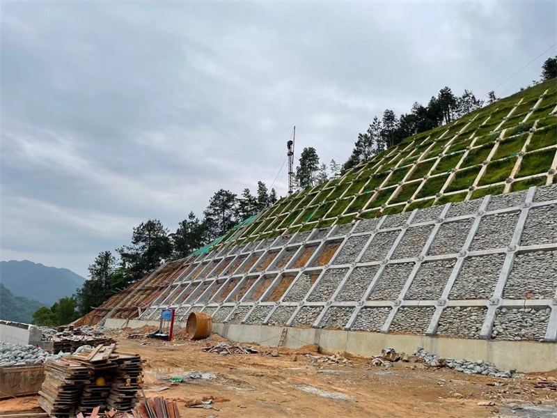 6731������Ϸ(�й���)-�ٷ���վ